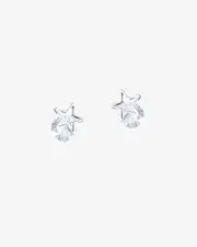 Silver Cubic Zirconia Star Framed Stud Earrings