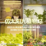 台灣出貨🚚LED植物生長燈 多肉植物補光燈 全光譜植物燈 植物燈條 生長補光燈 仿太陽光自然光上色防徒長室內養殖蔬菜