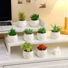 Mini Artificial Succulent Bonsai Fake Plants Simulation Bonsai Office