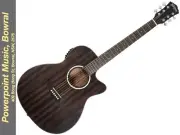 Washburn DFEACE Deep Forest Ebony Ace Acoustic Electric Guitar