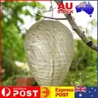 Wasp Nest Decoy Hanging Wasp Deterrent for Hornets Yellow Jackets (4 Green) AU