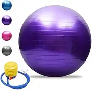 zolyet Anti-Burst Yoga Thickened Stabili Pilates Barre Physical Fitn Exercise 45CM / 55CM / 65CM / 75CM A Pump Purple 45cm