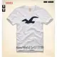 HCO HOLLISTER 【好貨購】530元免運 Tamarack,貼布大海鷗, H003