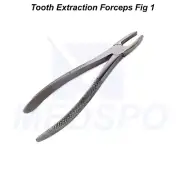 Surgical Tooth Extraction Forceps Fig01 Upper Root Incisor Children Dental Tools