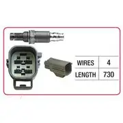 RAE Oxygen Sensor - OX836