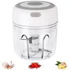 Mini Electric Garlic Food Chopper Vegetable Grinder Blender Fruit Crusher 250ML