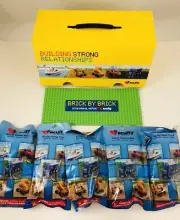 Acuity Brick By Brick Lego 2018 Annual Report Special Edition New Sealed Parts