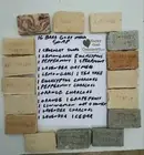 16 BARS HANDMADE GOAT MILK SOAP HAPPY GOAT CREAMERY PURE ESSENTIAL OILS ARTISAN