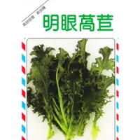 在飛比找蝦皮購物優惠-種子王國 明眼萵苣（菊苣種子） 【蔬果種子】興農種苗  原包