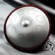 Hluru 14 Inch 9 Note Steel Tongue Drum D Minor Percussion Instrument Drum