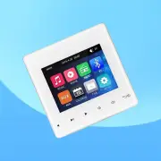 Digital Wall Stereo Amplifier Home Theater Bluetooth Touch Key Ceiling Speaker