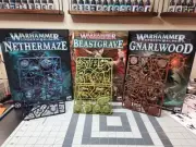 Gnarlspirit Pack, Shadeborn, Skaeth’s Wild Hunt - Warhammer Underworlds Warband