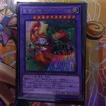 遊戲王 遊戲王卡 SER銀碎 PR爆閃 地火獅 聖靈獸騎 116 日本直送 二手