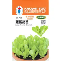 在飛比找蝦皮購物優惠-蘿蔓萵苣【農友種苗】貝比菜 蘿蔓萵苣 baby菜 種子 播種