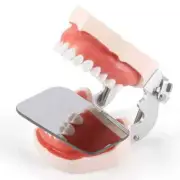 Dental Intraoral Orthodontic Occlusal Photographic Glass Mouth Mirror Reflector