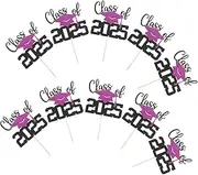 VILLFUL 10pcs Graduation Cake Insert Topper for Class of Celebrations Eye Catching Paper Decoration for Graduation Party Versatile Use for Cakes Cupcakes and Desserts