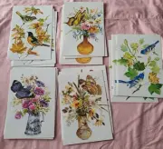 Vintage Pageant Of The Butterflies & Birds Get Well Cards 16 Pk W/envelopes