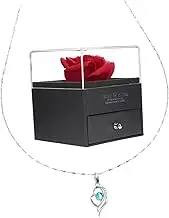 LIFKICH Valentine's Day Present Pendant Chain with Rose Packing Box Elegant Includes Flower Case for Birthdays Anniversaries Mother's Day