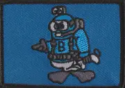 SF - B Tp 1 SQN SASR Militaria