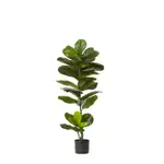 [James Lane] Fiddle Leaf Fig Tree - 50cm x 50cm x 110cm