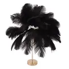 Black Feather Bedside Lamp with Touch Sensor and USB Charging