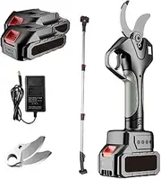Electric Pruning Shears,Cordless Pruning Shears,with 2m Extension Pole And 2 Rechargeable Battery,2*Blades, Max 45mm Cutting Diameter