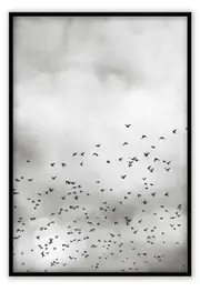 Cloud Dream