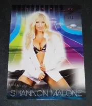 2017 Benchwarmer SHANNON MALONE Dreamgirls #74 Red Foil Insert #1/1 PLAYBOY Sexy