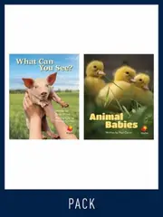 Flying Start Guided Reading Level 1, Pack 2
