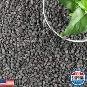 18lb Small Smooth River Rocks Pebbles for Plants and Succulents, Decorative O