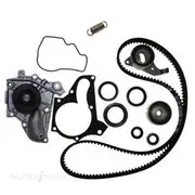 Bearing Wholesalers Timing Belt Kit - TB101WP