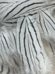 Random Feather Mix 20+ Pieces, Black/white Pheasant Feathers. Natural 5-7cm
