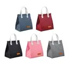 Portable Lunch Bag Insulated Bento Bag for Women Men Lunch Bag Dinner Container
