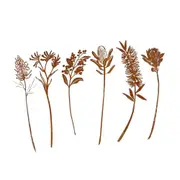 6pc Sill & Sage Australian Flower Decorative Garden Stakes 20cm Rustic Steel