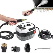 Decostatue Handheld Steam Cleaner, 2500W Portable High Temperature Pressurized Steam Cleaning Machine Portable Car Steamer with 3 Brush Heads (White)