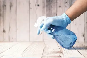 The 6 Best Your Go-To Cleaning Supplies
