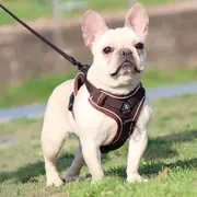 Dog Harness Leash Set Adjustable Pet Harness Vest For Small Large Dog Cat-Brown