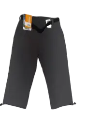 Regatta Pant