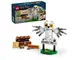 LEGO 76425 嘿美(水蠟樹街4號) Hedwig™ at 4 Privet Drive