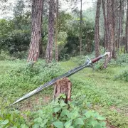 Custom Handmade Carbon Steel Blade Hiunchuli Machete Sword|Hunting Sword Camping