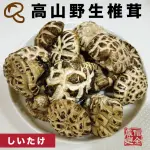 【信全】頂級乾貨組(高山野生椎茸+SA日本北海道碎干貝)