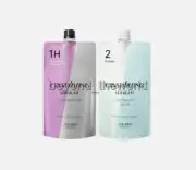 SHISEIDO Professional Crystallizing Hair Straightener H1+2 400g Hair Rebonding
