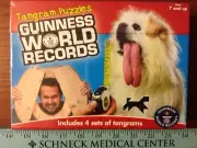 Guinness World Records Tangram Puzzles