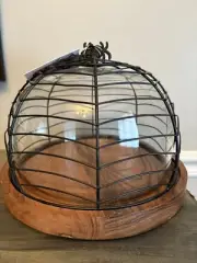 Halloween Glass Dome Covered Spiderweb Cheese Dessert Plate New