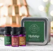 SCENTSY Holiday Oil 3-Pack Essential Oil Tin MISTLETOE GINGERBREAD BUTTERED RUM
