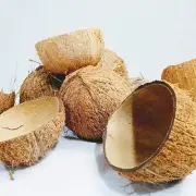 100% Pure Organic Natural Eco Friendly Ceylon Coconut Shell Halves Half Bowl