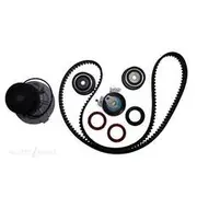 Bearing Wholesalers Timing Belt Kit - TB317WP