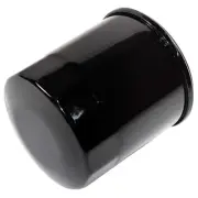 Oil Filter for Riding Lawn Mower, Lawn Tractor With B&S Engines