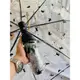 慵懶滿版黑貓咪透明雨傘三折傘全自動網紅直柄傘可愛折疊兒童成人