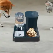 Cat Feeder and Water Automatic Pet Feeder Pet Feeder Easily Clean Portable Cat